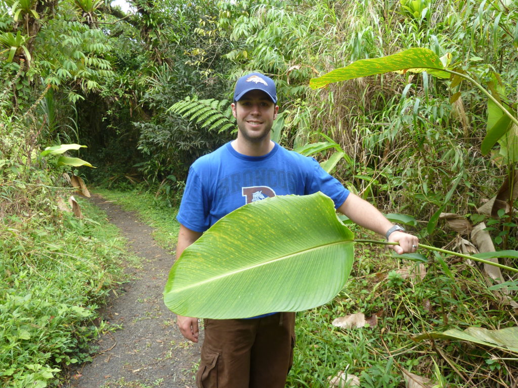 hiking in parque nacional arenal