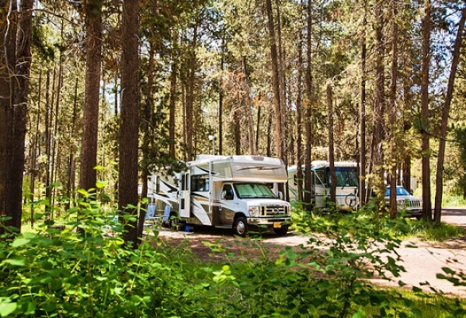 RV motorhome parked among trees in campground