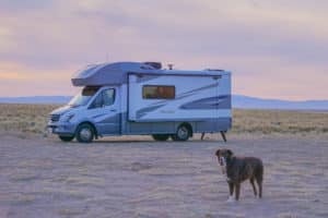 RV with a brown dog standing in front of it