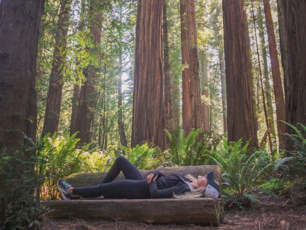 woman laying on bench in redwood national park looking up at trees